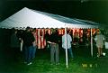 Vy_under_taltet_Ivar_Hans_PA